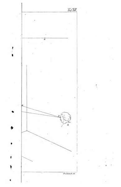 Archiv fur Anatomie, Physiologie und wissenschaftliche medizin