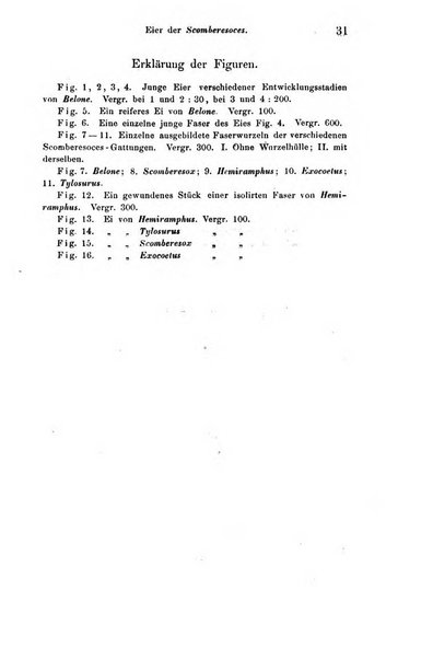 Archiv fur Anatomie, Physiologie und wissenschaftliche medizin