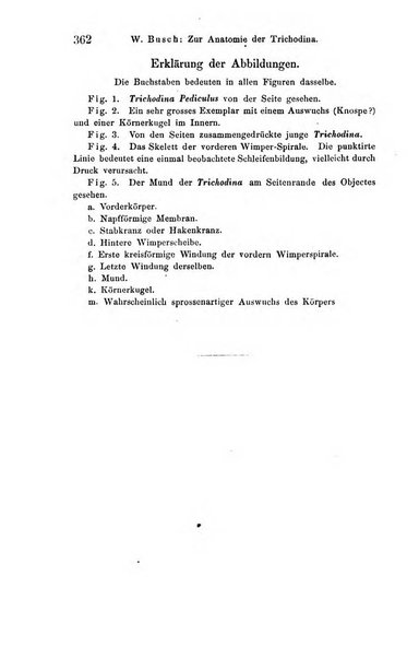 Archiv fur Anatomie, Physiologie und wissenschaftliche medizin