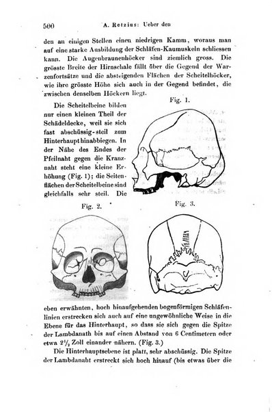 Archiv fur Anatomie, Physiologie und wissenschaftliche medizin