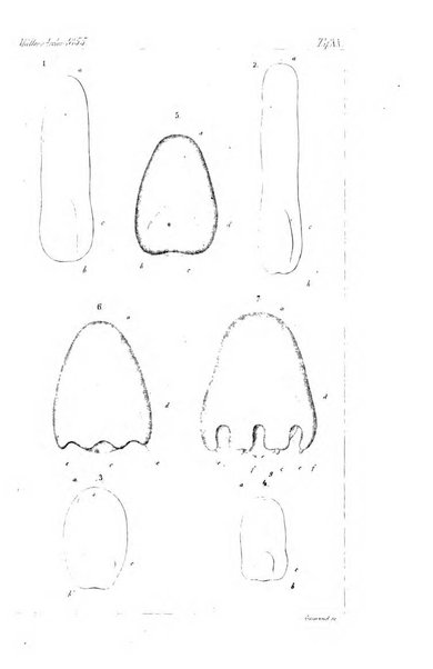 Archiv fur Anatomie, Physiologie und wissenschaftliche medizin