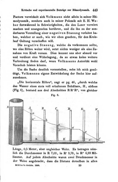 Archiv fur Anatomie, Physiologie und wissenschaftliche medizin