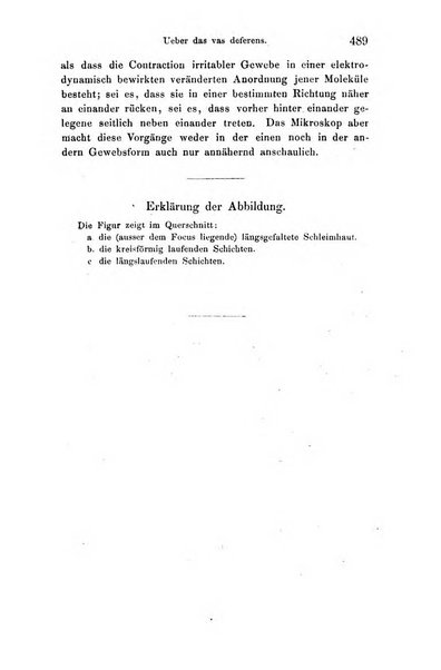 Archiv fur Anatomie, Physiologie und wissenschaftliche medizin