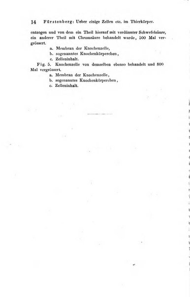 Archiv fur Anatomie, Physiologie und wissenschaftliche medizin