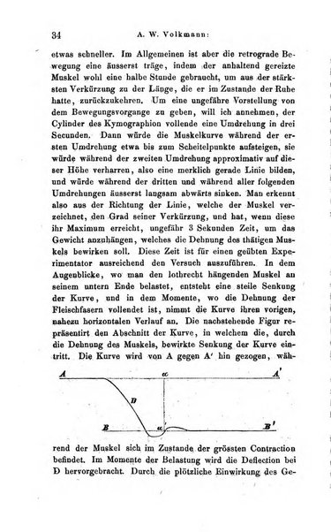 Archiv fur Anatomie, Physiologie und wissenschaftliche medizin