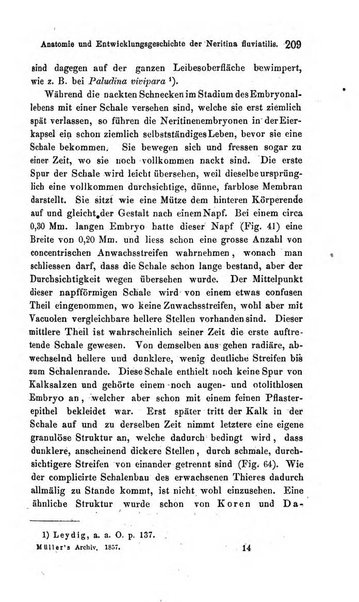 Archiv fur Anatomie, Physiologie und wissenschaftliche medizin