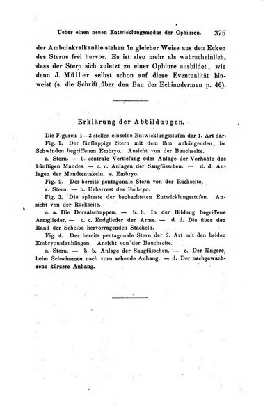 Archiv fur Anatomie, Physiologie und wissenschaftliche medizin