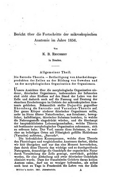 Archiv fur Anatomie, Physiologie und wissenschaftliche medizin