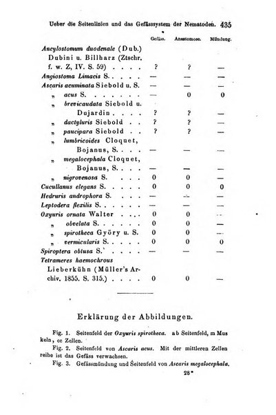 Archiv fur Anatomie, Physiologie und wissenschaftliche medizin