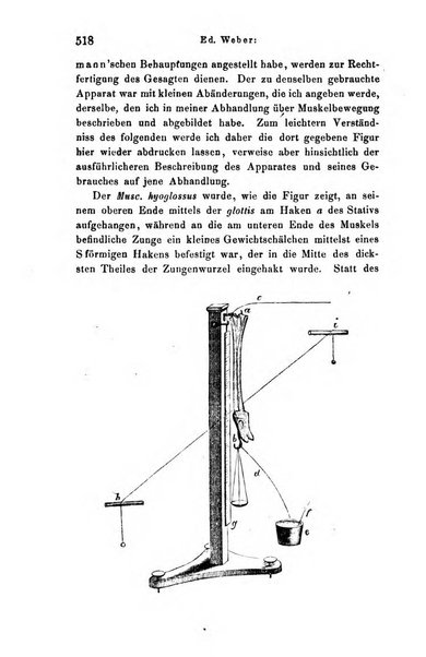 Archiv fur Anatomie, Physiologie und wissenschaftliche medizin