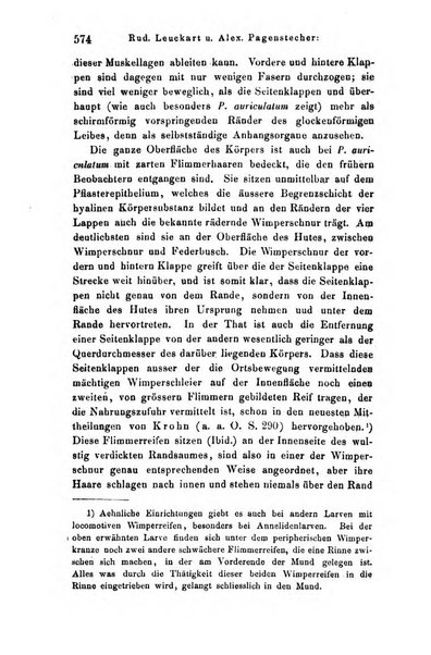 Archiv fur Anatomie, Physiologie und wissenschaftliche medizin