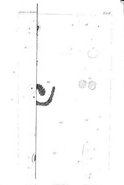 Archiv fur Anatomie, Physiologie und wissenschaftliche medizin