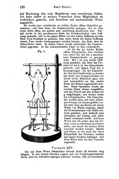 Archiv fur Anatomie, Physiologie und wissenschaftliche medizin