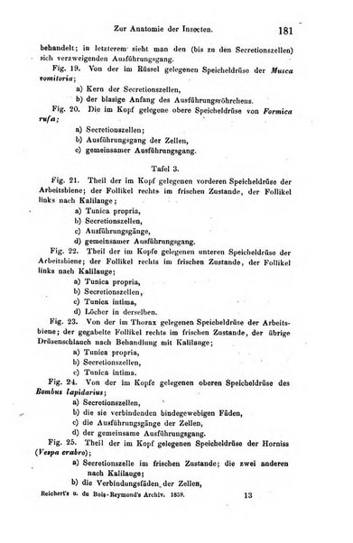 Archiv fur Anatomie, Physiologie und wissenschaftliche medizin