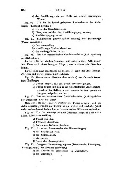 Archiv fur Anatomie, Physiologie und wissenschaftliche medizin