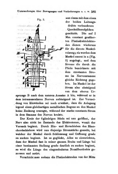 Archiv fur Anatomie, Physiologie und wissenschaftliche medizin