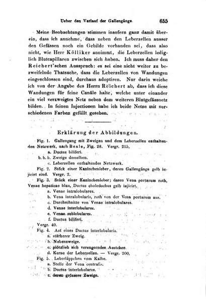 Archiv fur Anatomie, Physiologie und wissenschaftliche medizin