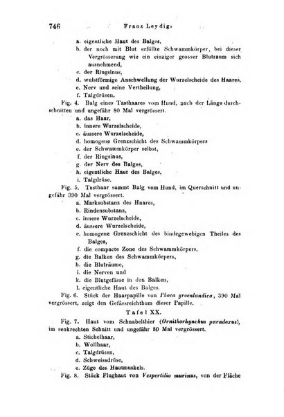 Archiv fur Anatomie, Physiologie und wissenschaftliche medizin