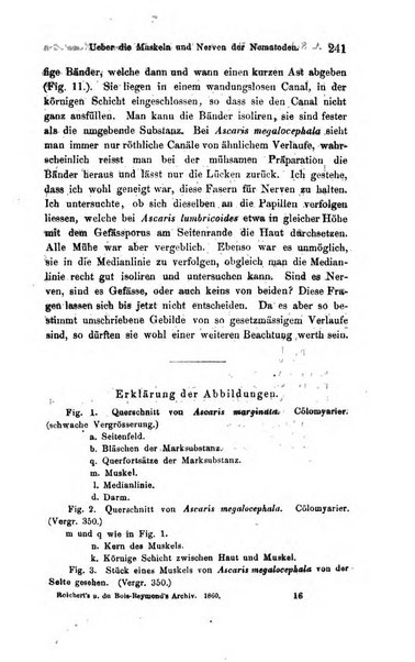 Archiv fur Anatomie, Physiologie und wissenschaftliche medizin