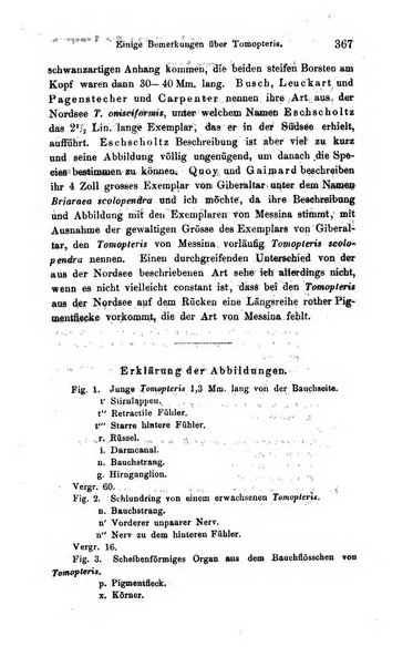 Archiv fur Anatomie, Physiologie und wissenschaftliche medizin