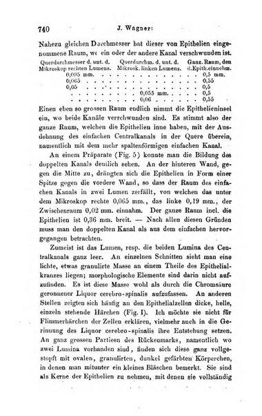 Archiv fur Anatomie, Physiologie und wissenschaftliche medizin