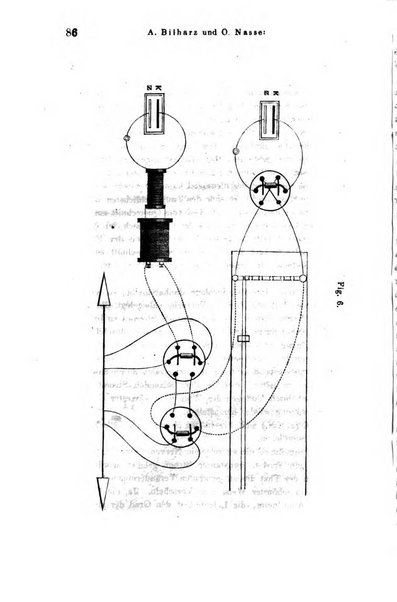 Archiv fur Anatomie, Physiologie und wissenschaftliche medizin