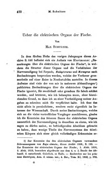 Archiv fur Anatomie, Physiologie und wissenschaftliche medizin