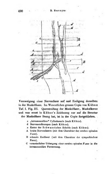 Archiv fur Anatomie, Physiologie und wissenschaftliche medizin