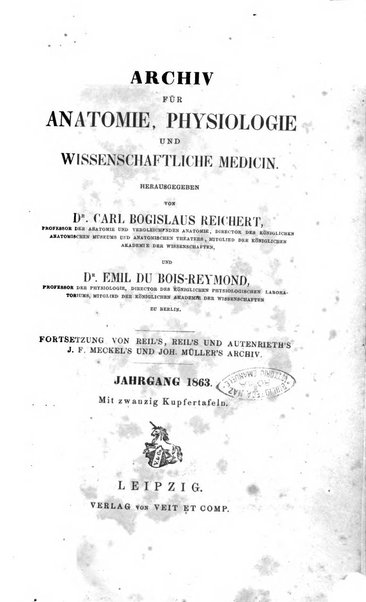 Archiv fur Anatomie, Physiologie und wissenschaftliche medizin