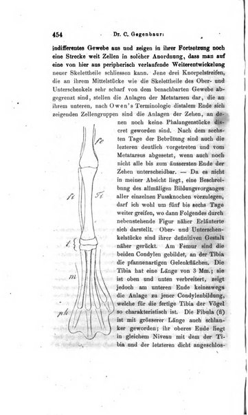 Archiv fur Anatomie, Physiologie und wissenschaftliche medizin