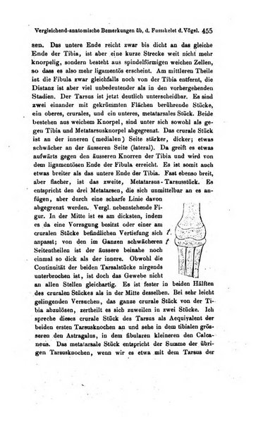 Archiv fur Anatomie, Physiologie und wissenschaftliche medizin