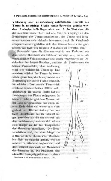 Archiv fur Anatomie, Physiologie und wissenschaftliche medizin