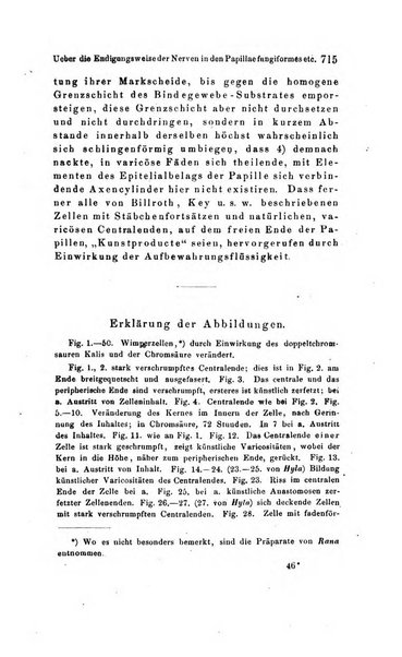 Archiv fur Anatomie, Physiologie und wissenschaftliche medizin