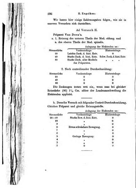 Archiv fur Anatomie, Physiologie und wissenschaftliche medizin