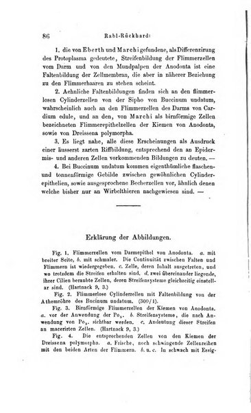 Archiv fur Anatomie, Physiologie und wissenschaftliche medizin