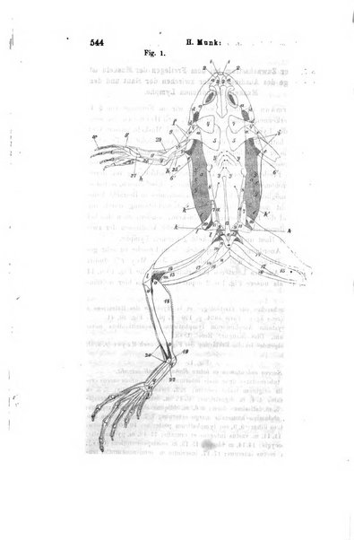 Archiv fur Anatomie, Physiologie und wissenschaftliche medizin