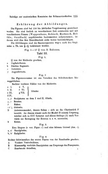 Archiv fur Anatomie, Physiologie und wissenschaftliche medizin