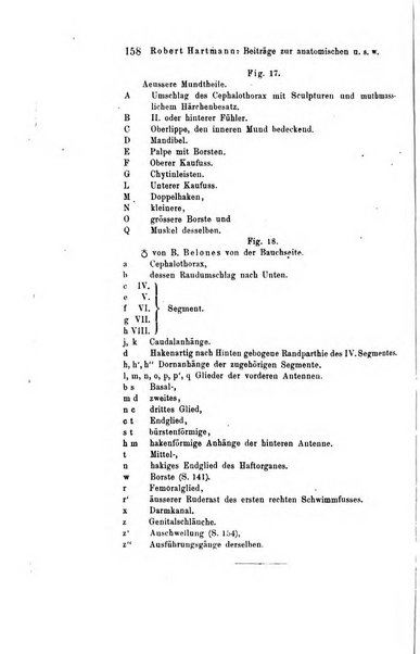 Archiv fur Anatomie, Physiologie und wissenschaftliche medizin