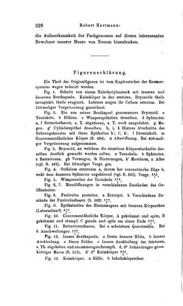 Archiv fur Anatomie, Physiologie und wissenschaftliche medizin