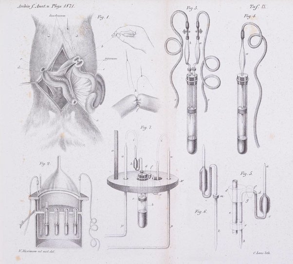 Archiv fur Anatomie, Physiologie und wissenschaftliche medizin