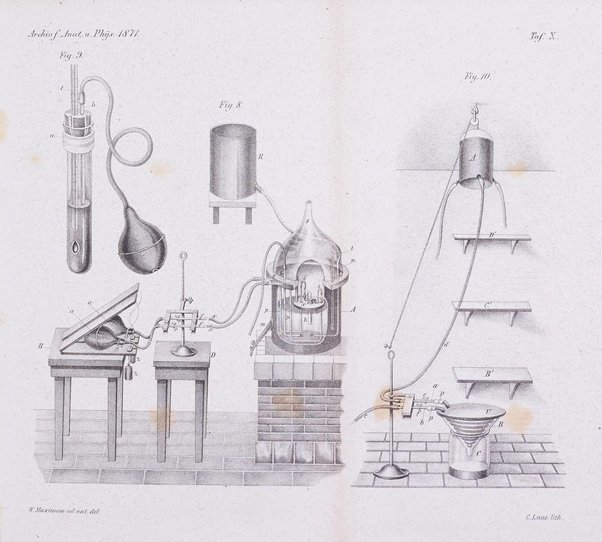 Archiv fur Anatomie, Physiologie und wissenschaftliche medizin