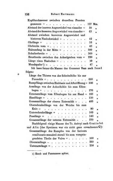 Archiv fur Anatomie, Physiologie und wissenschaftliche medizin