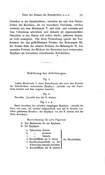 Archiv fur Anatomie, Physiologie und wissenschaftliche medizin