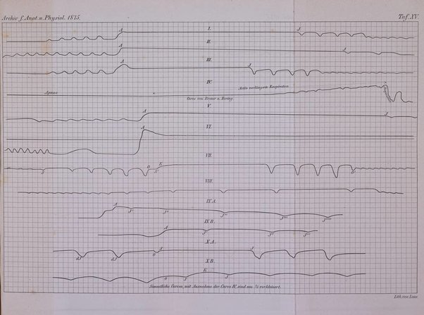 Archiv fur Anatomie, Physiologie und wissenschaftliche medizin