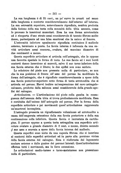 Archivio di ortopedia pubblicazione ufficiale del Pio istituto dei rachitici <1924-1950>