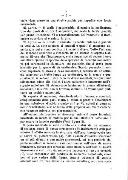 Archivio di ortopedia pubblicazione ufficiale del Pio istituto dei rachitici <1924-1950>