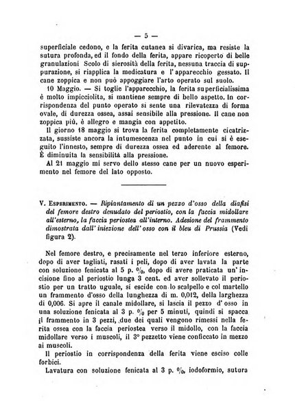 Archivio di ortopedia pubblicazione ufficiale del Pio istituto dei rachitici <1924-1950>