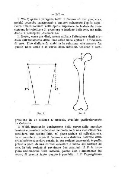 Archivio di ortopedia pubblicazione ufficiale del Pio istituto dei rachitici <1924-1950>