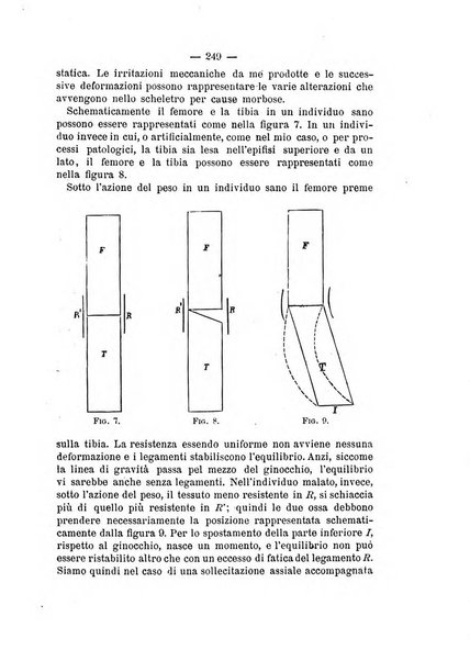 Archivio di ortopedia pubblicazione ufficiale del Pio istituto dei rachitici <1924-1950>