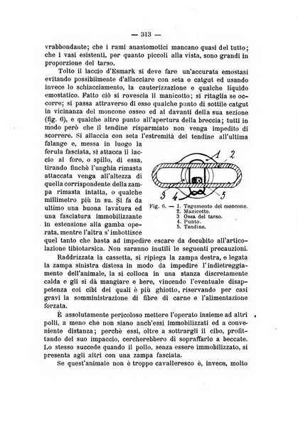 Archivio di ortopedia pubblicazione ufficiale del Pio istituto dei rachitici <1924-1950>